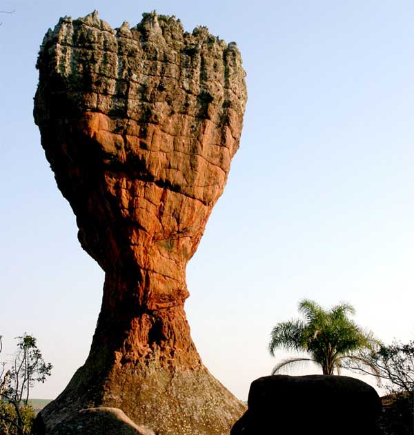 Taça-Vila-Velha-Ponta-Grossa